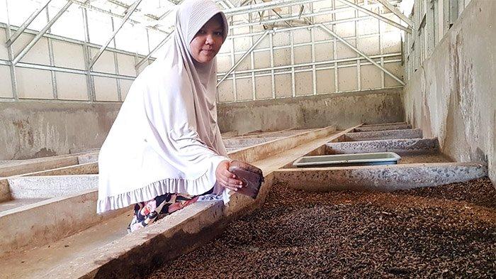 Yuliana, Pembudidaya Maggot di Pekanbaru sejak 2019. Maggot mengandung banyak gizi yang cocok dipakai sebagai pakan ternak.