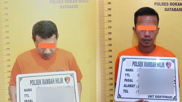 Tersangka pelaku pencurian sapi di Rohul Riau.