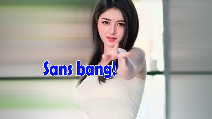 Sanes arti kata dalam bahasa indonesia