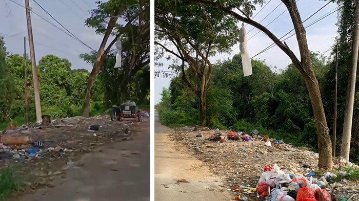 MIRIP POCONG: Sebuah benda menyerupai pocong menggantung di sebuah pohon besar di Jalan Lingkar Bangkinang Kota, Kabupaten Kampar, Senin (3/2/2025)