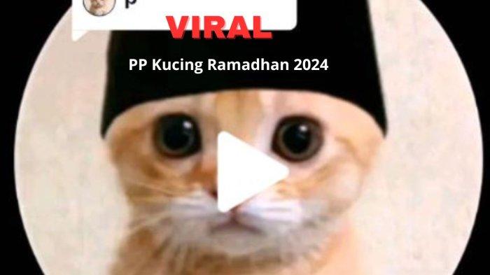 Sedang di Viral TikTok PP Kucing Ramadhan 2024, ini Caranya