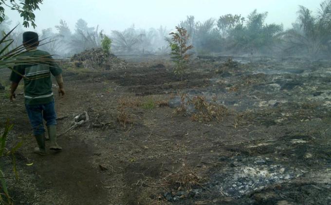 Asap Hitam Mengepul dari Pabrik Kelapa Sawit PT BIM, Masyarakat Kampung