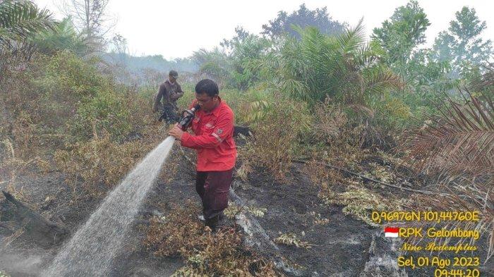 PT Arara Abadi bersama Mitra APP Sinar Mas lainnya PT RUJ, PT SGP dan BKM bahu membahu bersama masyarakat dan pemerintah setempat membantu Satgas Pencegahan dan Penanganan Karhutla yang terjadi di berbagai Daerah/Kabupaten di Provinsi Riau yang saat ini telah memasuki musim panas (kemarau).