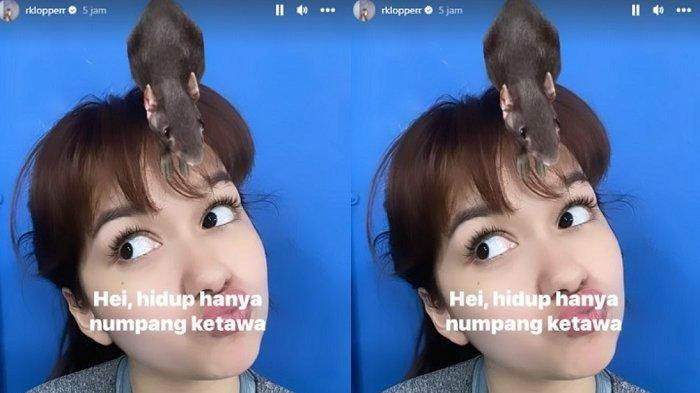 Pencarian video becca yang viral, Twitter Rebecca Klopper video hingga Twitter Rebecca viral Tiktok sedang trending di Google