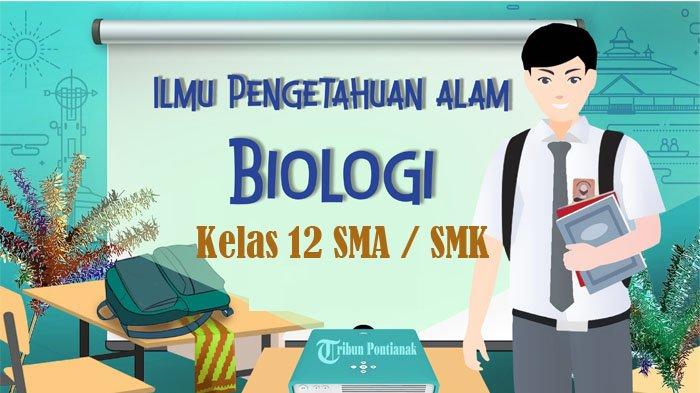 kumpulan soal biologi kelas 12 semester 2 dan kunci jawaban
