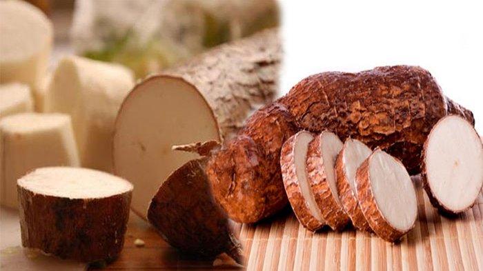 Pembuatan Tape Singkong