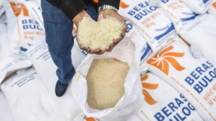 Berikut ini Informasi mengenai penerimaan Bansos beras 10 kg untuk prioritas penerima PKH dan BPNT.