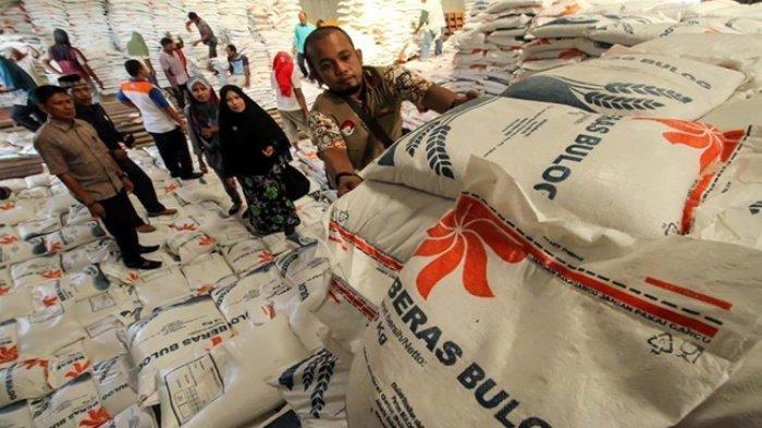 Berikut Harga Ecer Tertinggi Beras Medium di Pontianak
