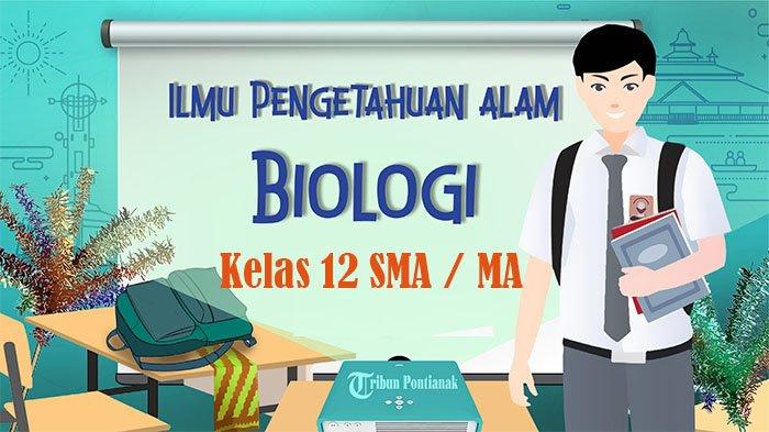 Soal Ujian Biologi Kelas 12 Semester 2: Analisis dan Persiapan Soal Ujian Biologi Kelas 12 Semester 2: Analisis dan Persiapan