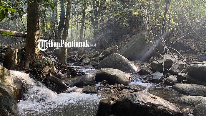 
Destinasi tempat wisata di Singkawang, Pemandian Eria yang berada di Jalan Eria, Nyarumkop, Kecamatan Singkawang Timur, Kota Singkawang. Untuk jam bukanya, Pemandian Eria buka setiap hari dari pukul 06.00 WIB hingga pukul 18.00 WIB.
