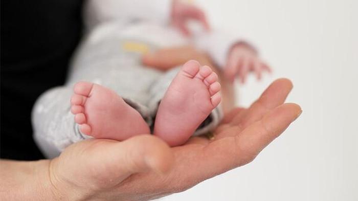 JUAL BAYI - Ilustrasi jual bayi. Fakta baru kasus sindikat jual bayi di Pontianak, ternyata dijual dengan harga Rp 254 juta per bayi lengkap modus Adopsi para pelaku.