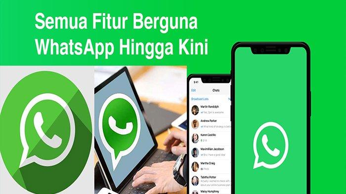 cara download story wa tanpa aplikasi tambahan di layar ponsel