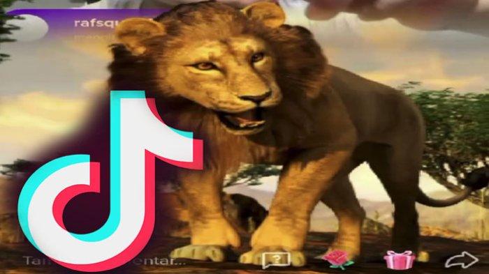 Cara Dapat Gif Singa TikTok Cek Harga Gif Singa dan Gif Bernilai hingga
