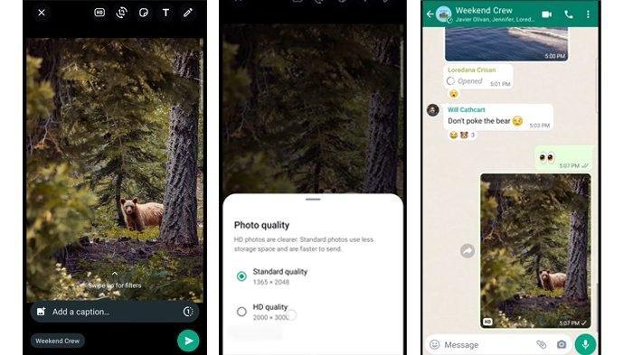 WhatsApp Ada Fitur Kirim Foto Berkualitas HD, Ini Cara Kirim Gambar WA