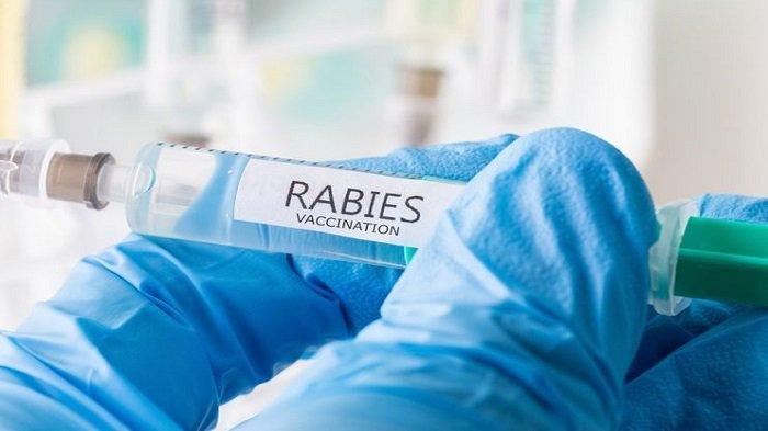 Ilustrasi vaksin Rabies.