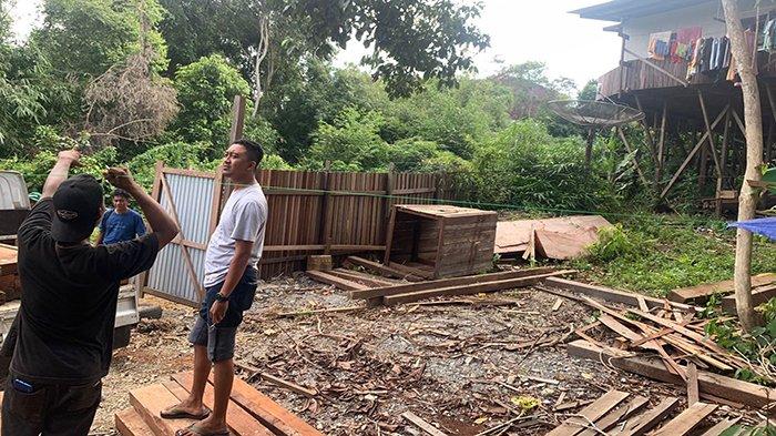 Tumpukan kayu belian yang diamankan pihak Polres Ketapang yang diduga hasil kegiatan illegal logging.