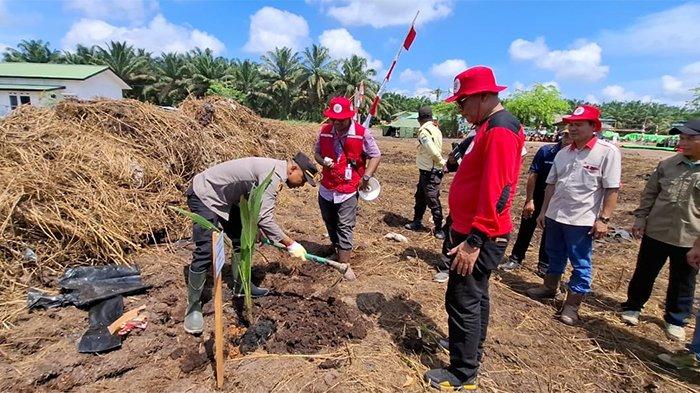 KARHUTLA - Kolaborasi 4 PT di Sambas yaitu PT. Perkebunan Anak Negeri Pasaman 1 (PANP), PT. Sentosa Asih Makmur (SAM), PT. Putra Lirik Domas 1 (PLD) & PT. Sumatera Unggul Makmur (SUM) berkomitmen dalam pencegahan dan penanggulangan kebakaran hutan dan lahan (Karhutla) pelatihan kebakaran bagi Regu Pemadan Kebakaran Perusahaan dengan melakukan pelatihan dan Apel Siaga Api yang melibatkan pemangku kepentingan  termasuk Masyarakat Peduli Api. Kegiatan terpusat di PT PANP pada 12-14 Juni 2025.