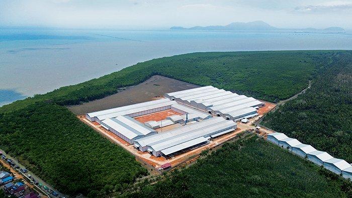 Saraswanti Group kembali membuka dua pabrik baru, yaitu Pabrik Pupuk NPK PT Saraswanti Anugerah Indonesia (“ PT SAI”) dan Pabrik Pupuk Dolomit PT Anugerah Dolomit Indonesia (“PT ADI”) di Kabupaten Mempawah, Provinsi Kalimantan Barat pada 29 Februari 2024.