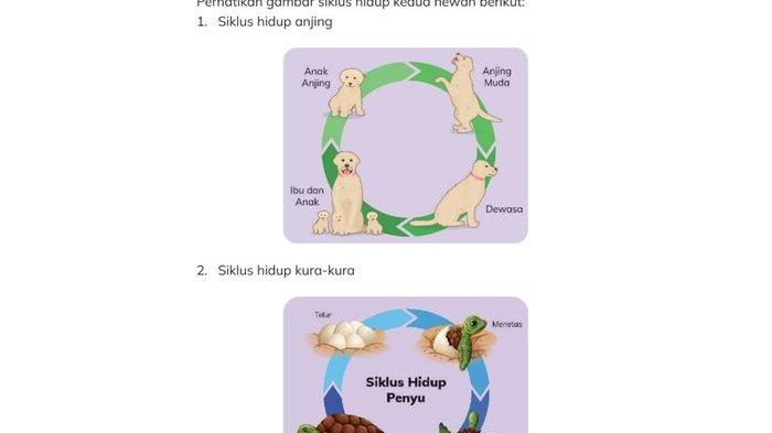 Siklus hidup ini juga dikenal dengan sebutan daur hidup yang biasa jadi sebutan untuk proses perkembangan hewan.