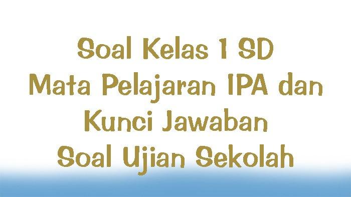 Soal Kelas 1 SD Mata Pelajaran IPA dan Kunci Jawaban Soal Ujian Sekolah ...