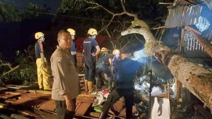 Pemilik Warkop di Kubu Raya Tertimpa Pohon Tumbang saat Angkat Jemuran -  Tribunpontianak.co.id