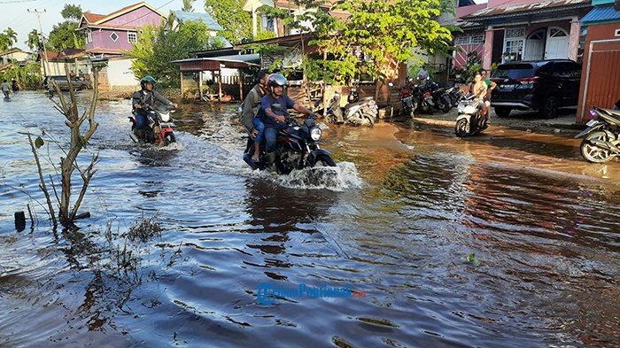 anak-anak bermain air di jalan tergenang banjir sintang