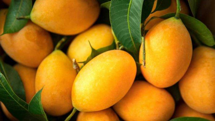 Manfaat Buah Gandaria.