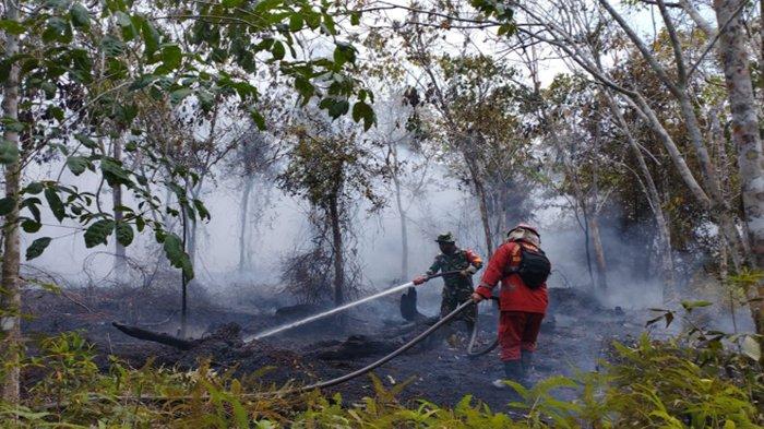 Tim Dops Manggala Agni KalimantanIX/Singkawang saat memadamkan Karhutla di Dusun Sempadang, Desa Buduk Sempadang Kecamatan Selakau Timur, Kabupaten Sambas, kamis 10 Agustus 2023.