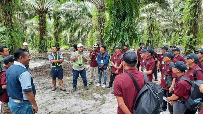 Petani swadaya asal Kabupaten Bengkayang, Provinsi Kalimantan Barat yang tergabung dalam peserta pelatihan pengelolaan sarana dan prasarana perkebunan bagi pekebun, melakukan field trip (kunjungan lapangan) di PT Lingkarindah Plantation (LIP), Rabu 14 Agustus 2024.