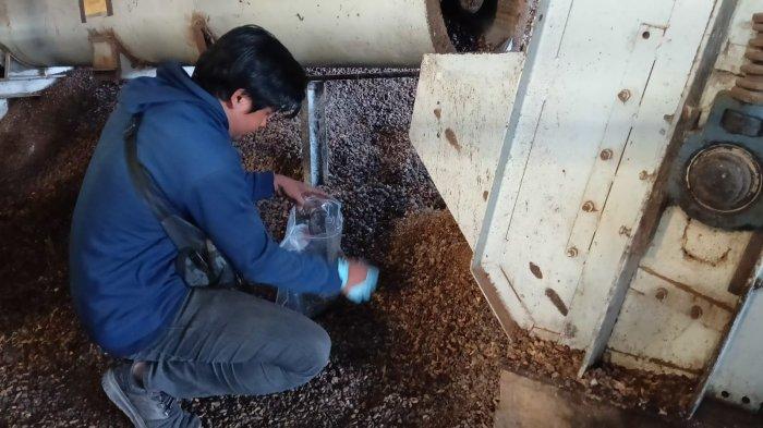 Polisi Lakukan Penyelidikan Intensive Terhadap Tewasnya Pekerja saat melakukan perawatan mesin alat pemisah cangkang dan kernel buah kelapa sawit (CM Elevator), Kamis 3 Oktober 2024