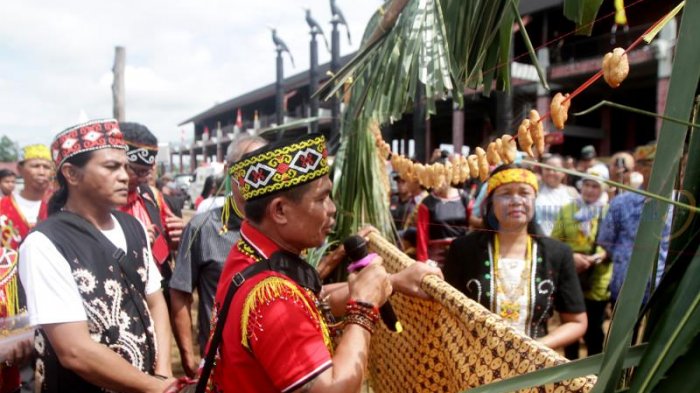 Ritual Nyolat Borohon, Penghormatan Bagi Bahen Ofang Sosok Pahlawan Masyarakat Sintang - Tribunpontianak.co.id