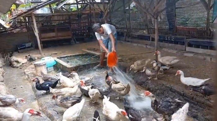 Asop salah satu pelaku UMKM di Kabupaten Ciamis yang diminta iuran sebesar Rp11 juta untuk administrasi legalitas program Makan Bergizi Gratis (MBG)