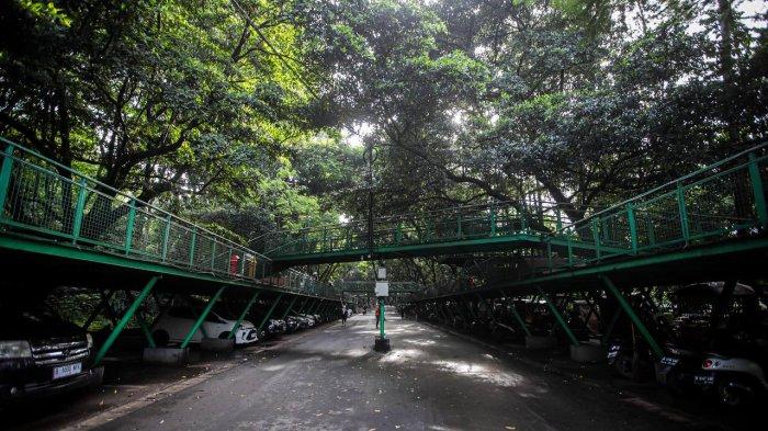 Babakan Siliwangi atau baksil