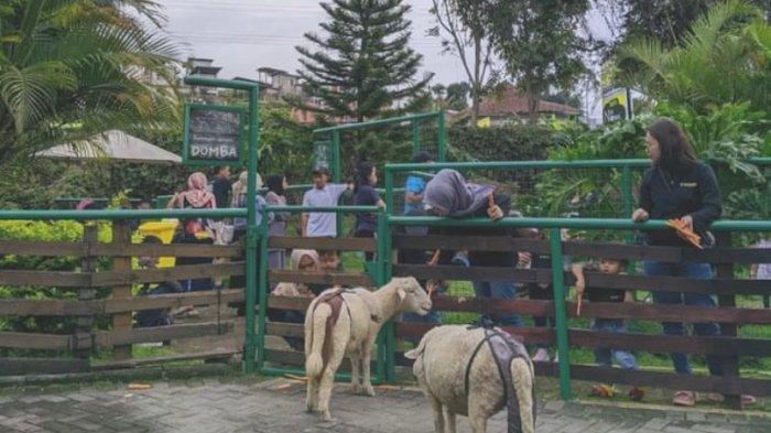 Happy Farm Ciwidey