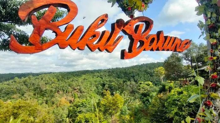 KEINDAHAN BUKIT BARUNO - Suasana keindahan di Bukit Baruno Dusun Wangkal Ronyok, Desa Bangunkarya, Kecamatan Langkaplancar, Kabupaten Pangandaran, Rabu 18 Juni 2025.