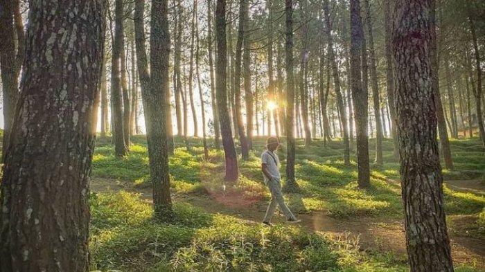 Kamojang Ecopark di Garut, Jawa Barat.