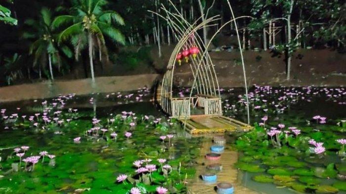 Kampung Teratai Cimaragas Ciamis