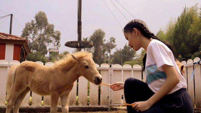 Lembang Park and Zoo
