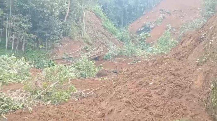 LOKASI LONGSOR - Lokasi longsor yang menimbun dua warga Ciomas Desa Tenjowaringin, Salawu, Kabupaten Tasikmalaya, Minggu (29/6/2025).