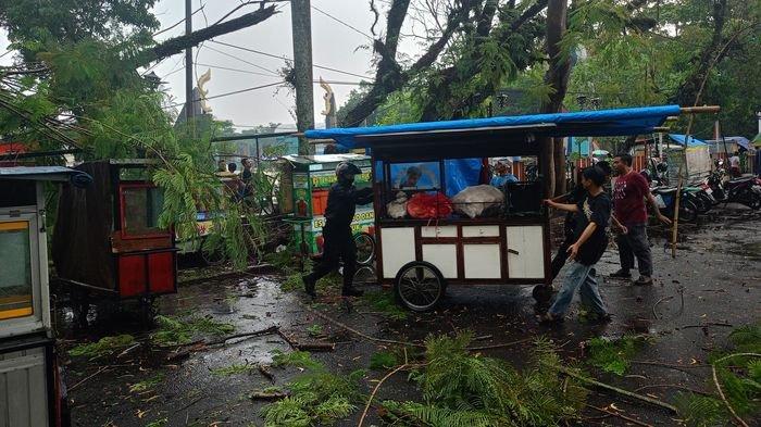 Petugas BPBD Kota Tasikmalaya ketika melakukan evakuasi gerobak milik pedagang yang tertimpa pohon di area komplek Dadaha, Kamis (14/11/2024).