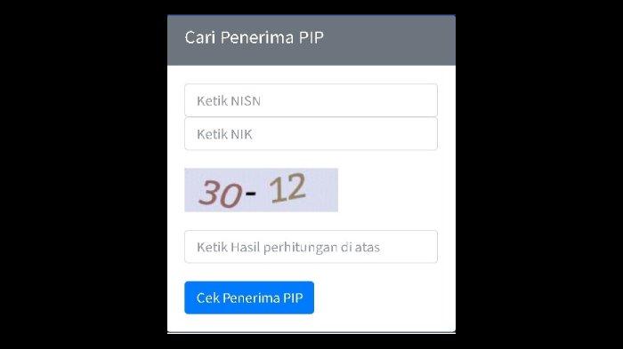 Tangkapan layar situs PIP Kemdikbud