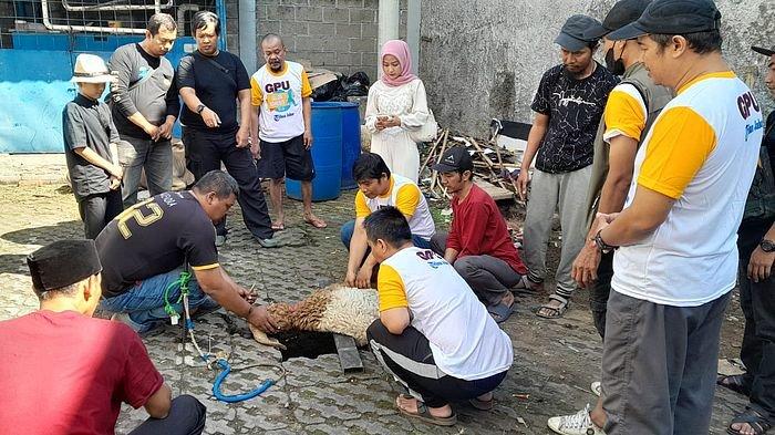 Tribun Jabar berkurban 1 ekor sapi dan 4 ekor domba di halaman Kantor Tribun Jabar, Jalan Sekelimus Utara No 2-4, Kota Bandung, Senin pagi (17/6/2024).