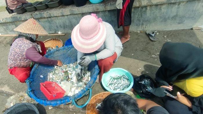 Suasana saat sejumlah nelayan memilah ikan hasil tangkapan nelayan di Pantai Timur Pangandaran, Jawa Barat.