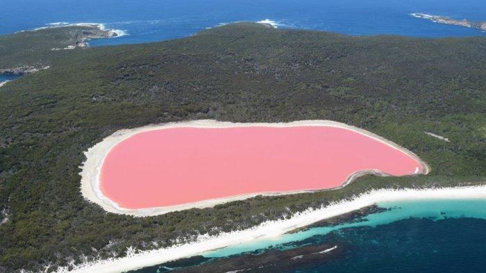 Danau Hillier, danau berwarna merah muda