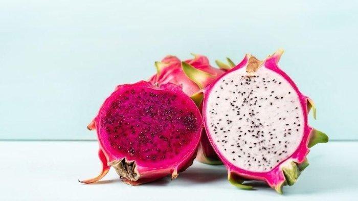 Ilustrasi buah naga berdaging buah warna merah dan putih. Buah naga merupakan buah padat nutrisi yang lezat dan unik serta mengandung beragam khasiat untuk menjaga kesehatan tubuh Anda dari penyakit kronis.
