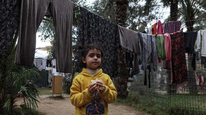 Seorang anak Palestina sedang makan sandwich di kebun binatang, tempat banyak keluarga mencari perlindungan.
