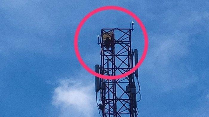 Tim gabungan mengevakuasi dengan selamat seorang nenek yang nekat memanjat tower di Desa Bandar Baro, Kecamatan Indra Makmu, Kabupaten Aceh Timur, Kamis (26/10/2023).