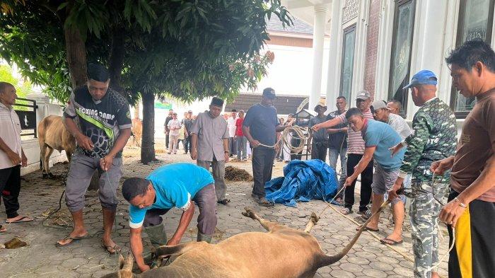 Masjid Al-Jihad Jeulingke Salurkan 1000 Paket Daging Kurban