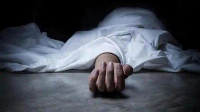 Gegara Kucing Mati, Keponakan Tega Bunuh Pamannya di Banyumas - Prohaba.co