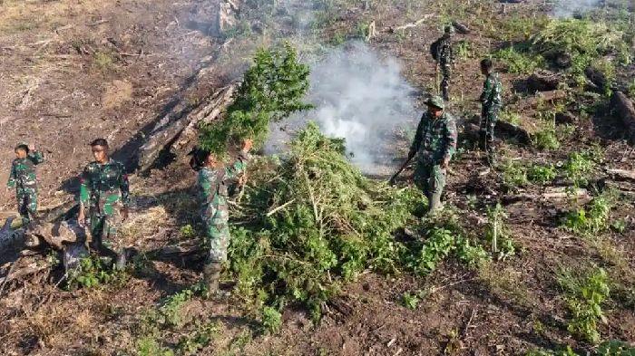 Tim-gabungan-TNI-dari-Kodam-IM-memusnahkan-ladang-ganja-di-Beutong-Ateuh-Nagan-Raya.jpg